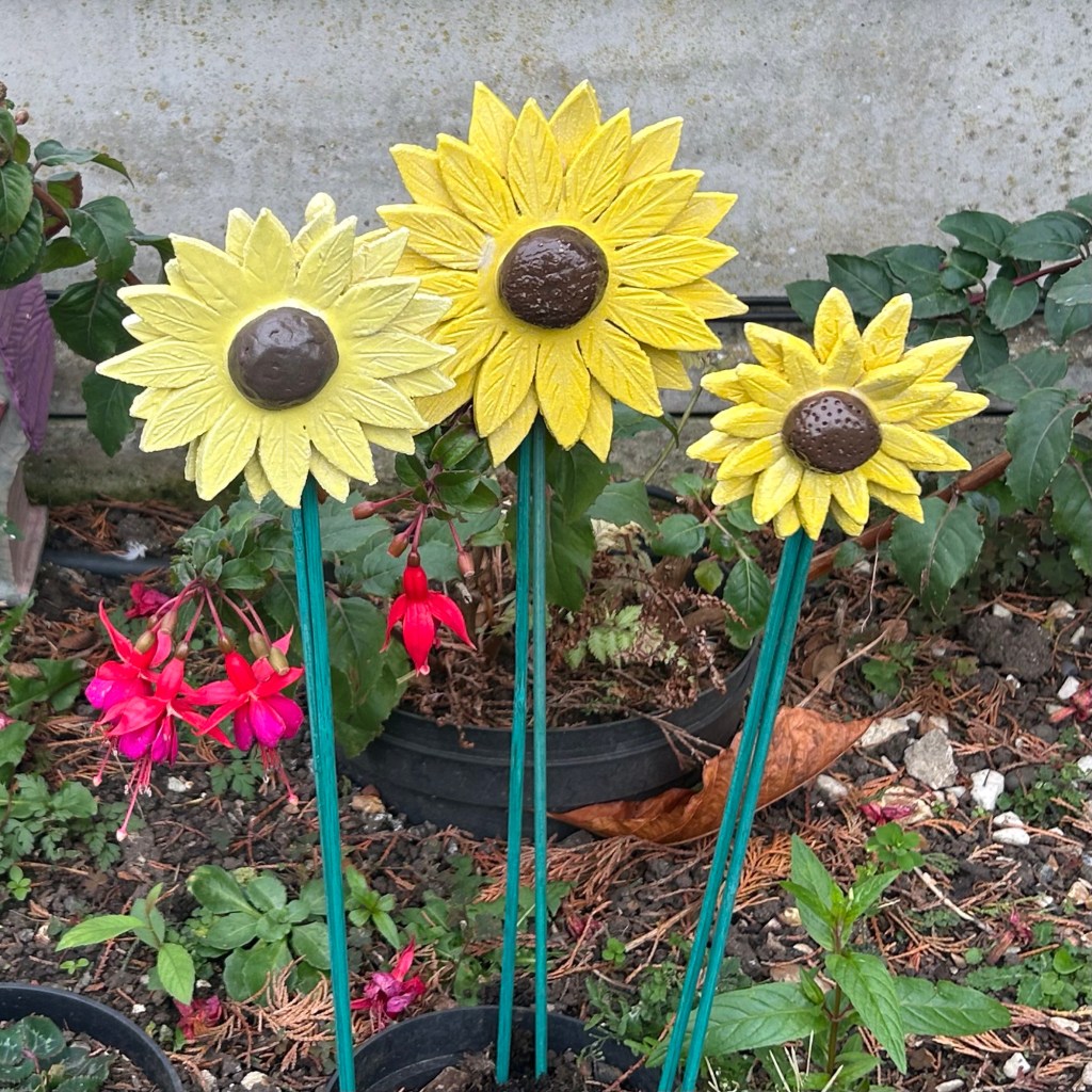 Sunflower Project